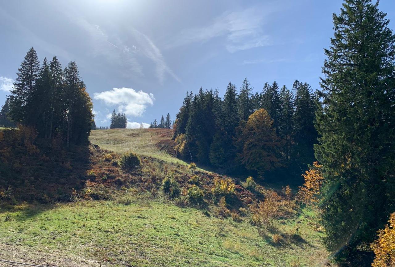 Ferienwohnung Feldberg Schwarzwald Exterior foto